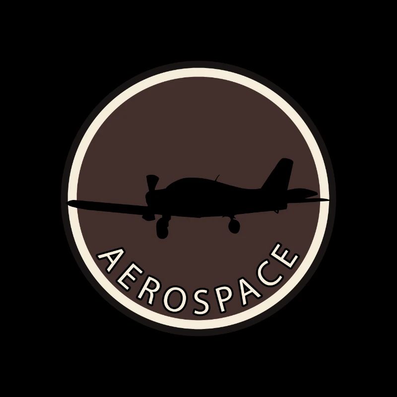 Vol d’aviation