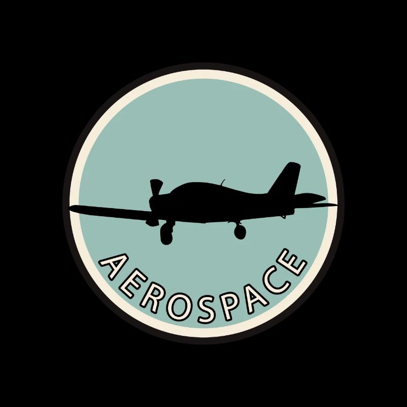 Aviation Flying Pilot
