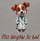 Der Dogtor ist da!