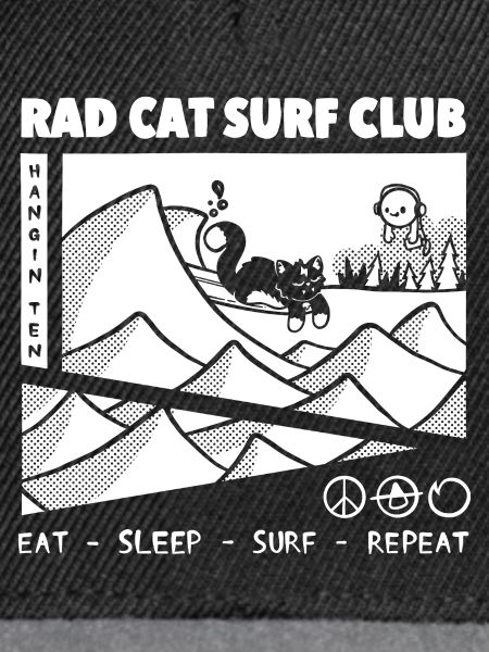 Rad Cat Surf Club Comic-Panel-Design