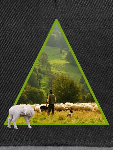 schaf mit schäfer