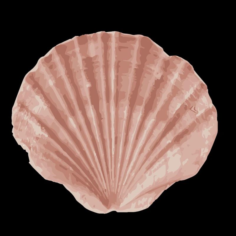 shell