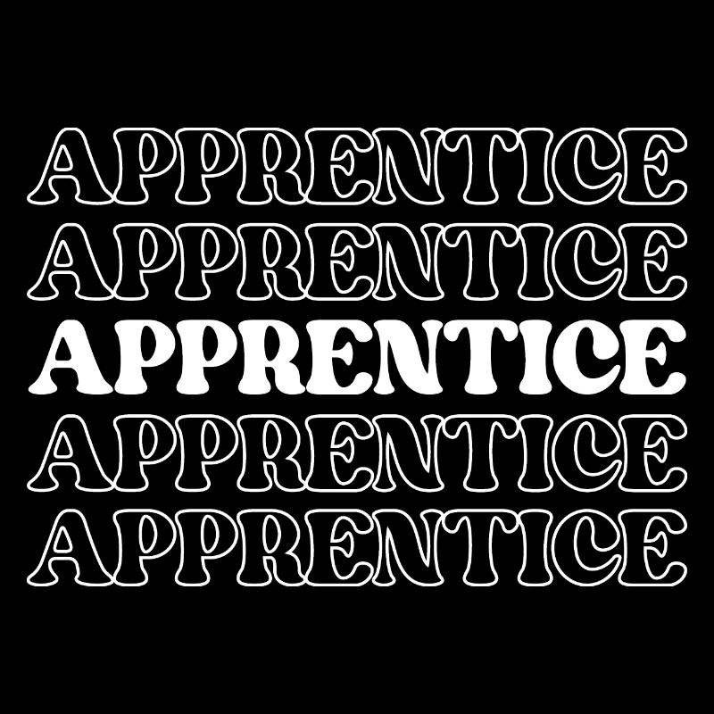 Apprentice Trainee Apprentice Novice Learner