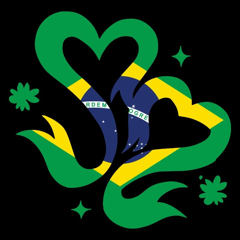 Drapeau du Brésil Drapeau de l’Amérique du Sud