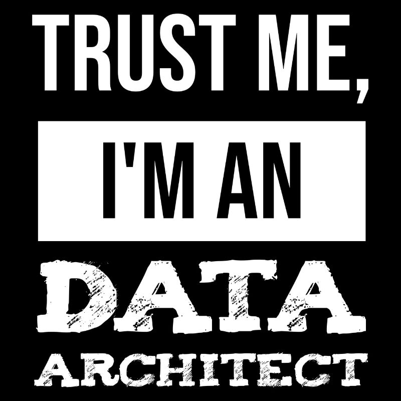 Data Architect Datentechniker IT Informatik
