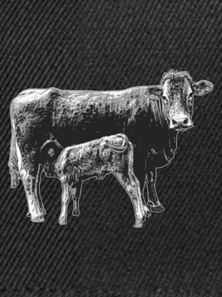 Kuh mit Kalb