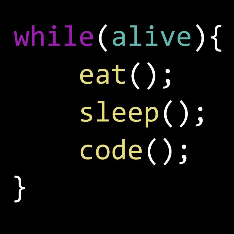 Eat Sleep Code Repeat