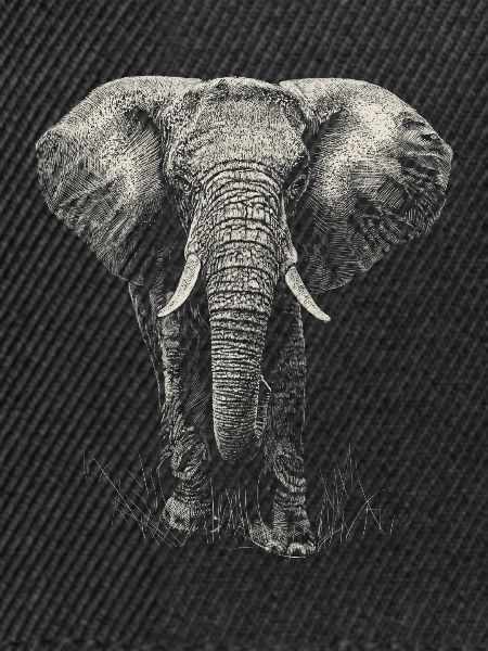 Elefant