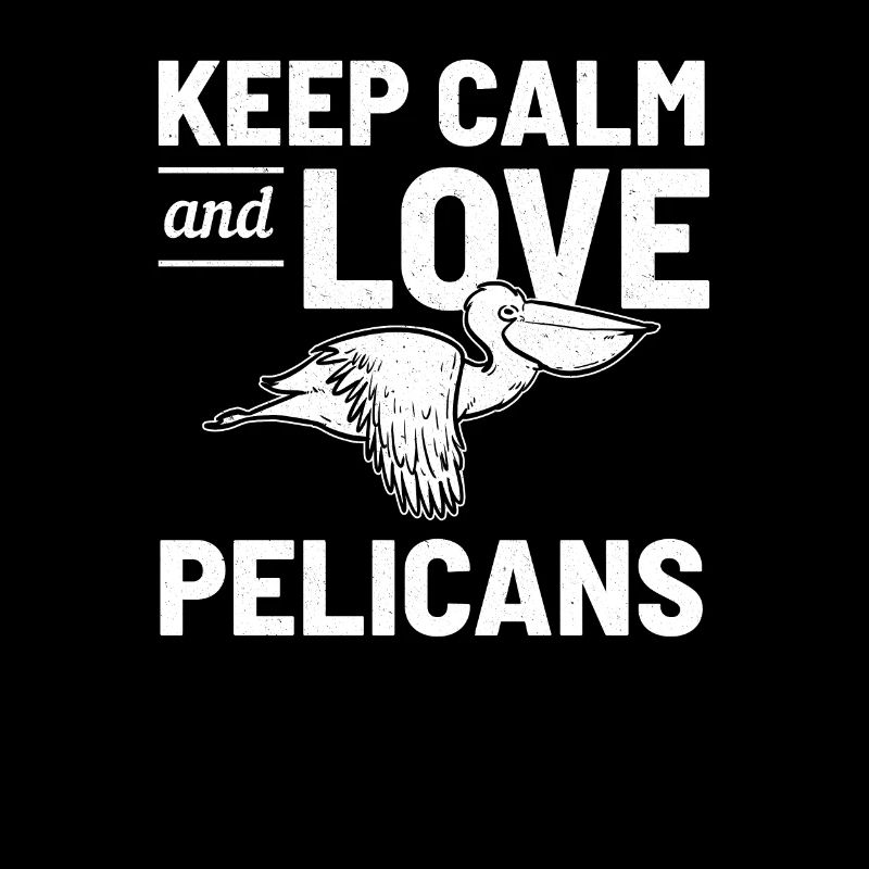 Pelican bird