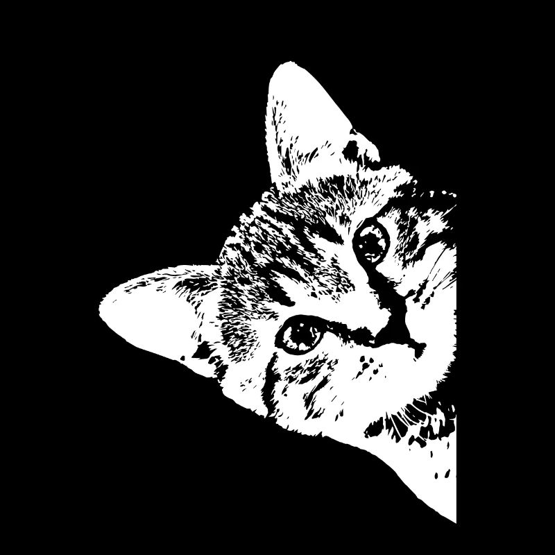 Katze