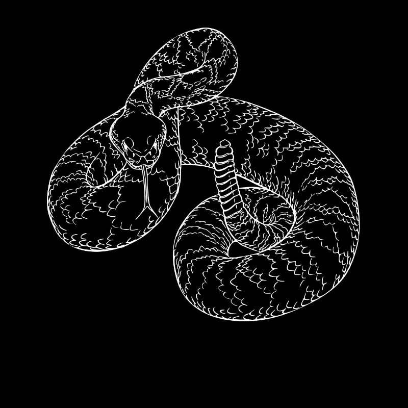 Snake rattlesnake devil