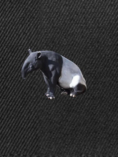 Tapir
