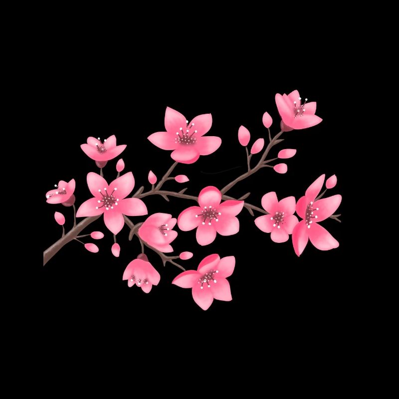 Kirschblüten
