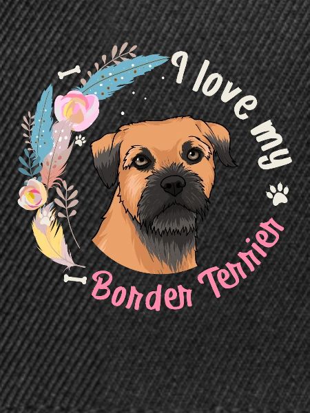 Border Terrier