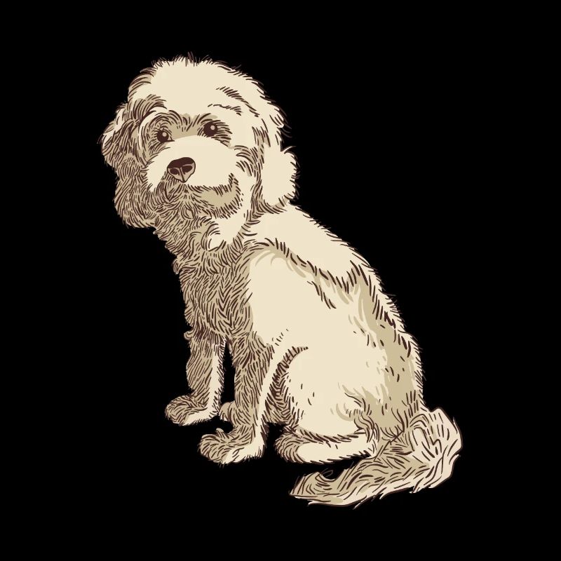 Cockapoo dog drawing of a cockapoo