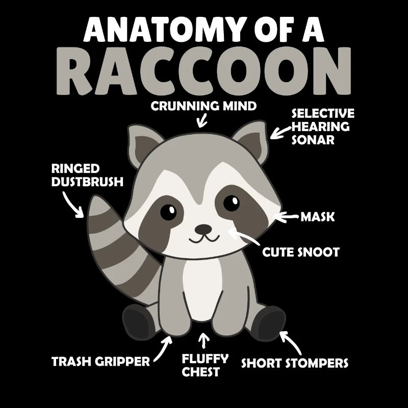 explication du raton laveur doux Anatomie d’un raton laveur