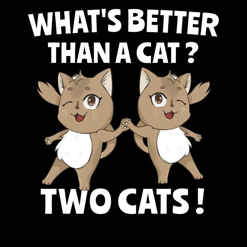 Chat Chat Chat Maman Maison Chat Chats