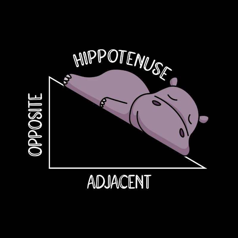 Algebra Math Student Math Teacher Hippotenuse