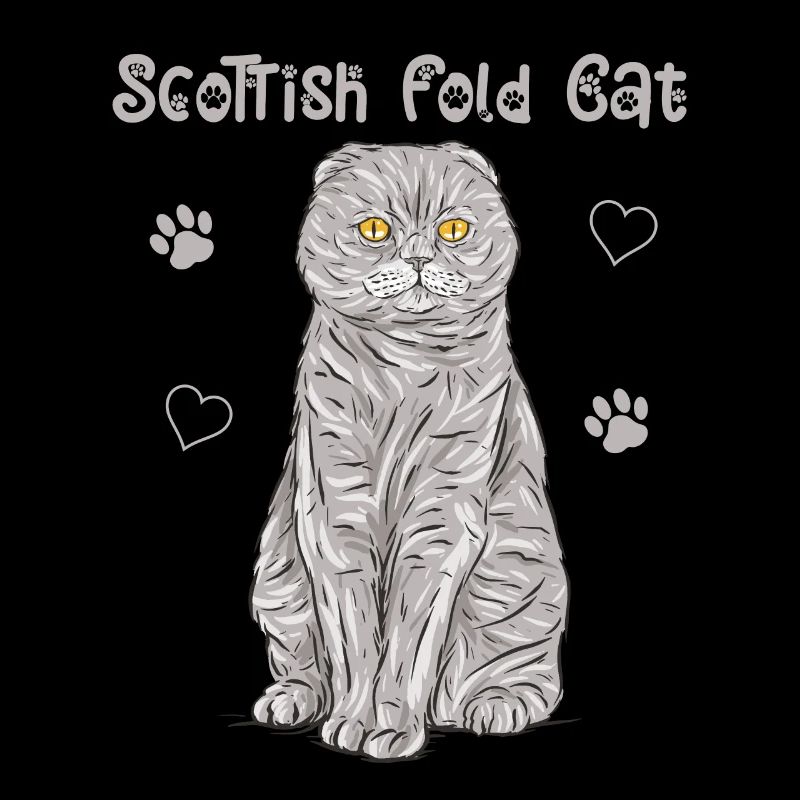 Scottish Folding Ear Cat Scottish Fold Gift
