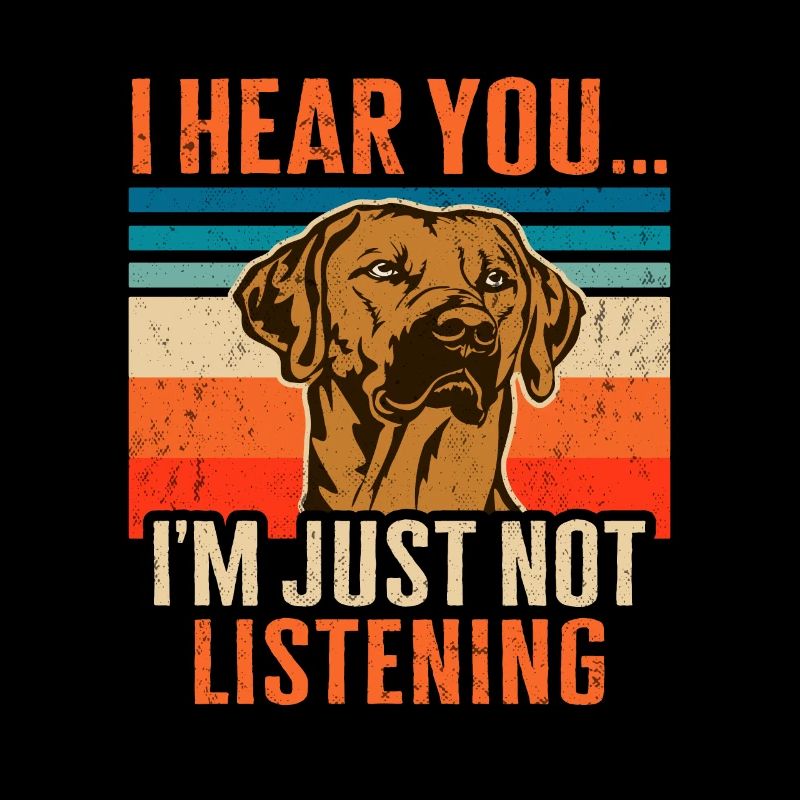 Rhodesian Ridgeback Hund