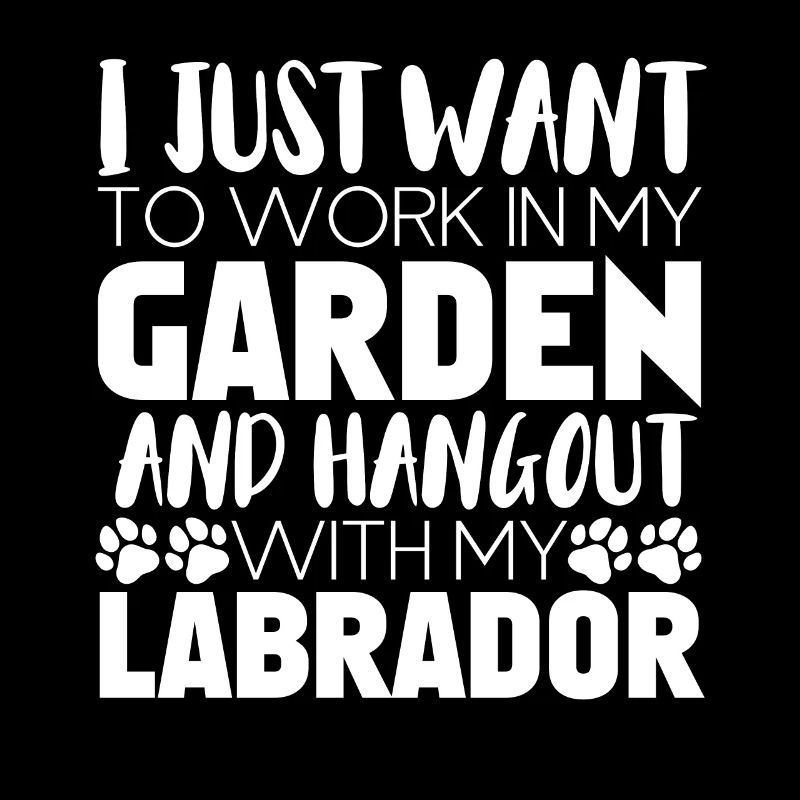 Labrador Hunde