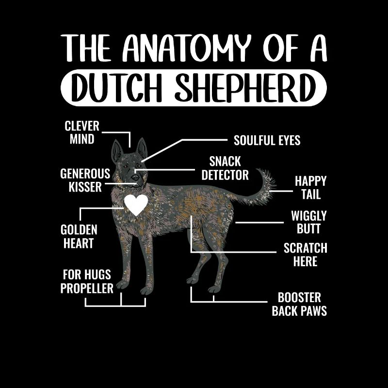 Holländischer Schäferhund Dutch Shepherd
