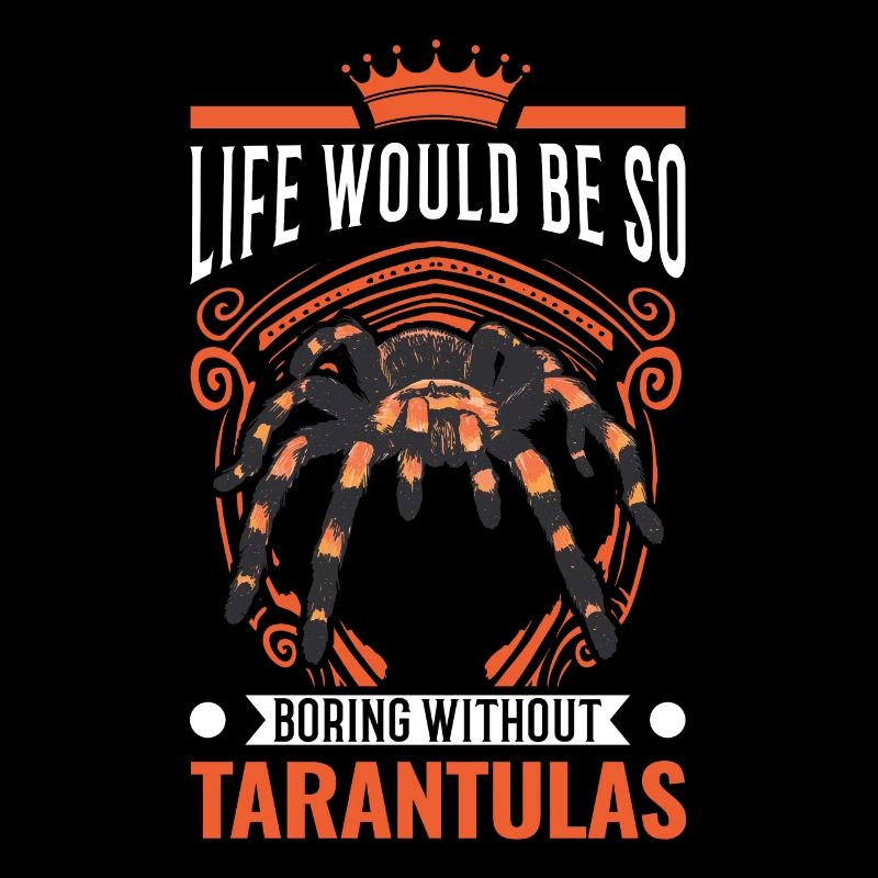 Tarantel Spinne Tarantula