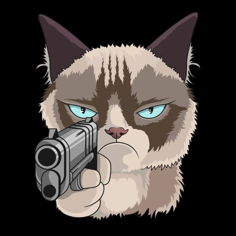 Chat avec pistolet