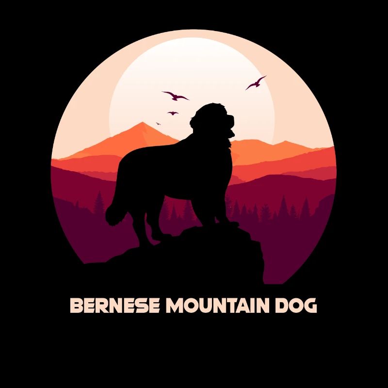 Bernese Mountain Dog