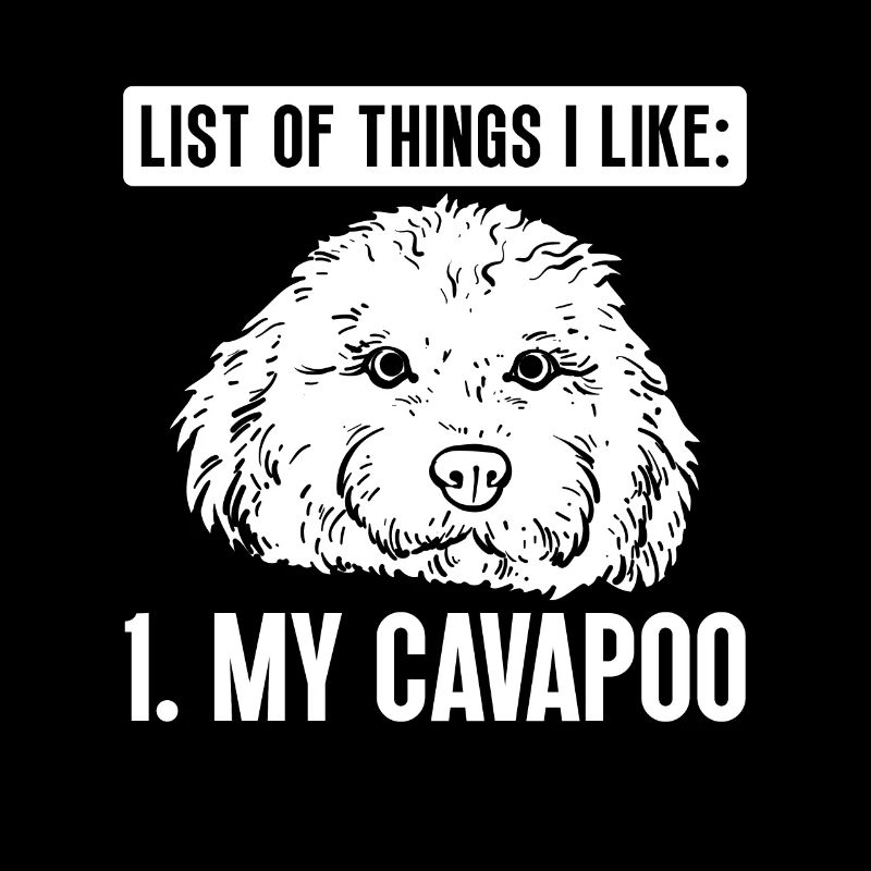 Cavapoo Cavoodle Capoodle Hund