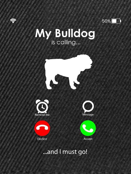 Bulldogge Hunderasse
