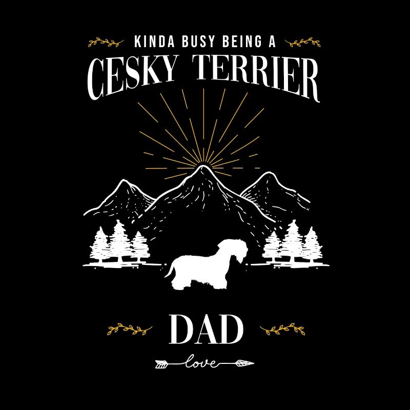 Cesky Terrier Chien - Cesky Terrier