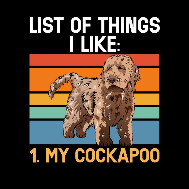 Cockapoo Chien