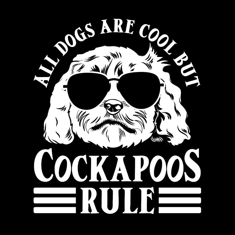 Cockapoo Chien