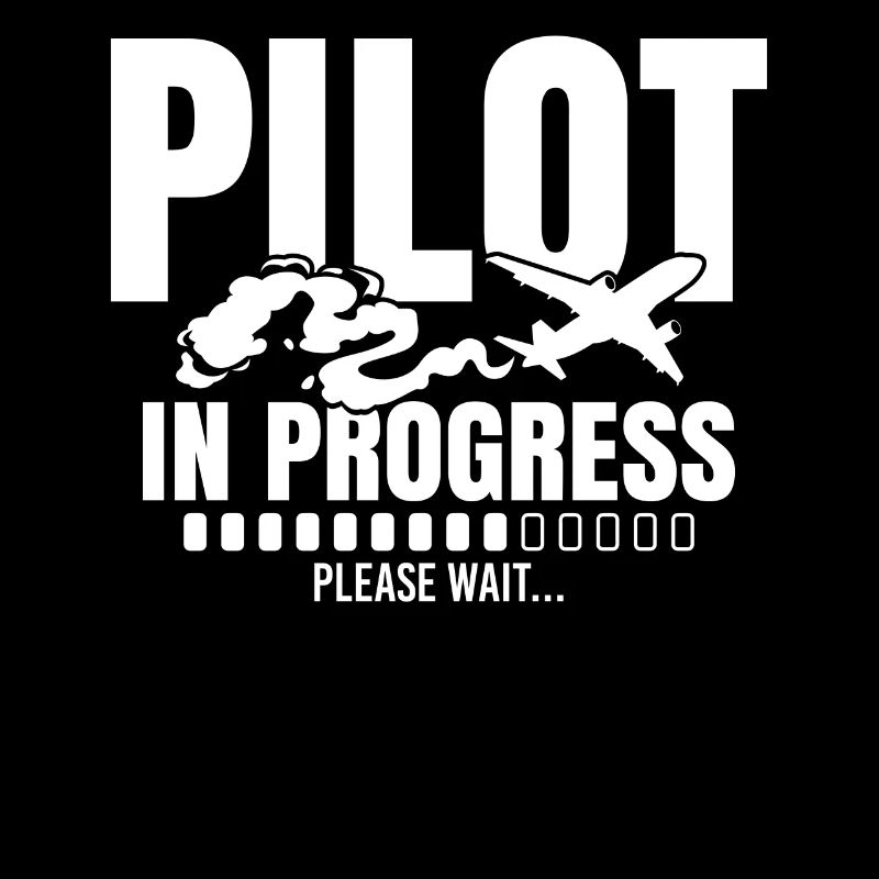 Pilot In Progress Please Wait Loading Plane