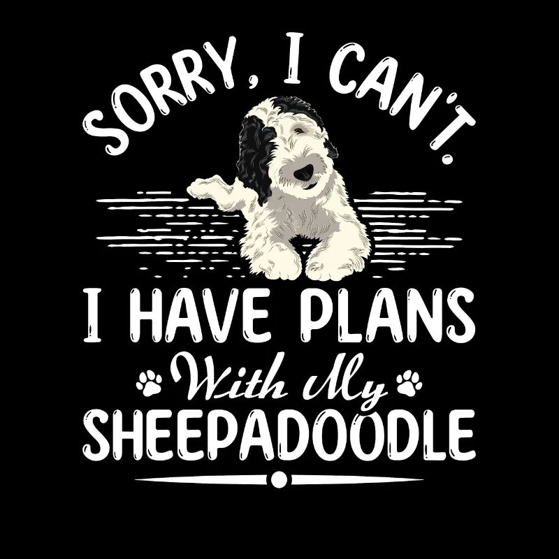 Sheepadoodle Doodle Hund