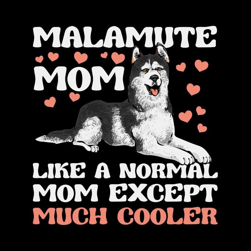 Chien Malamute d’Alaska