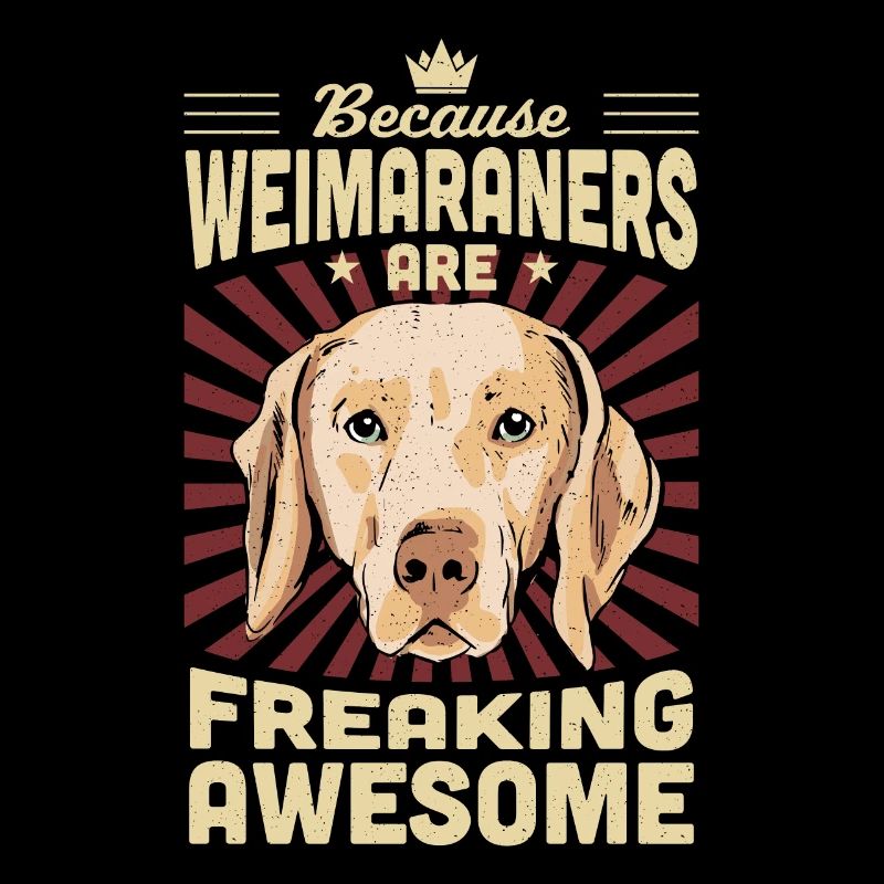 Weimaraner