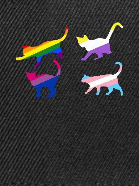 Cat Lgbt