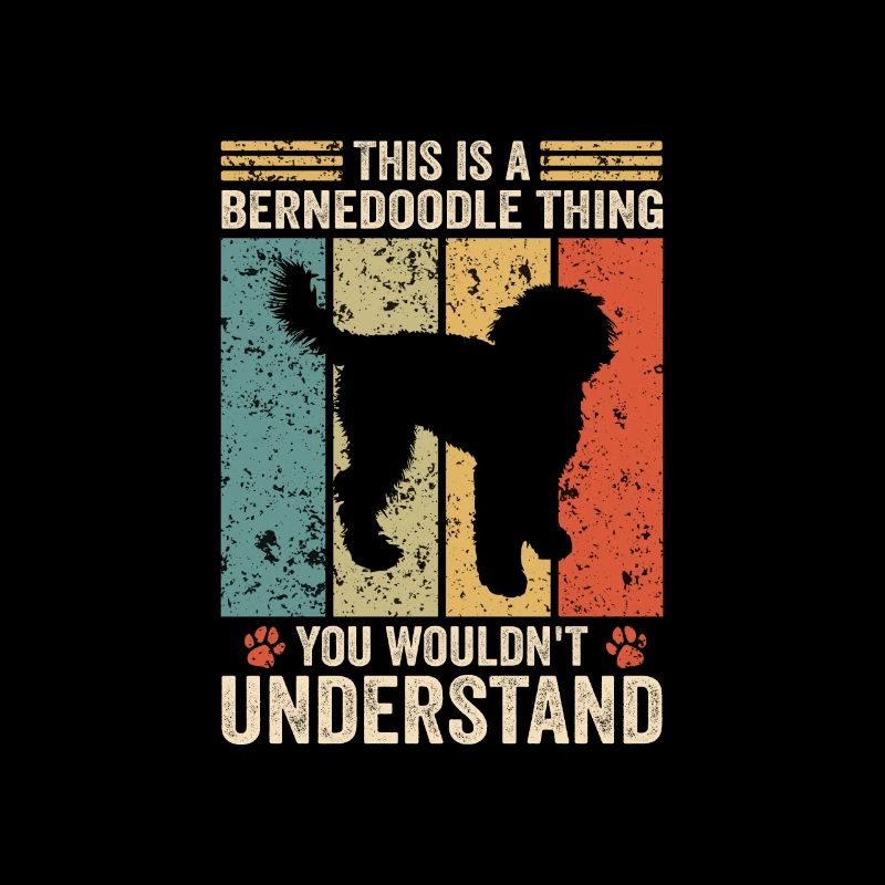 This is a Bernedoodle thing