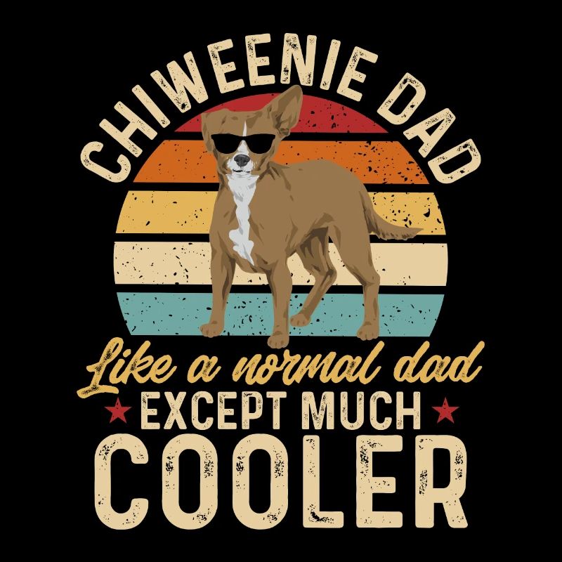 Chiweenie Dog