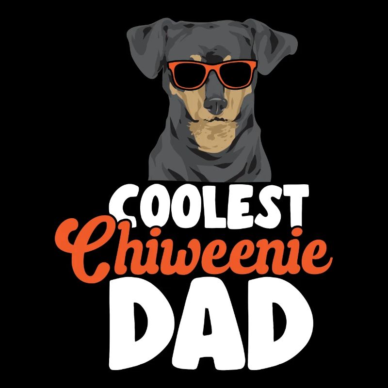 Chiweenie Dog