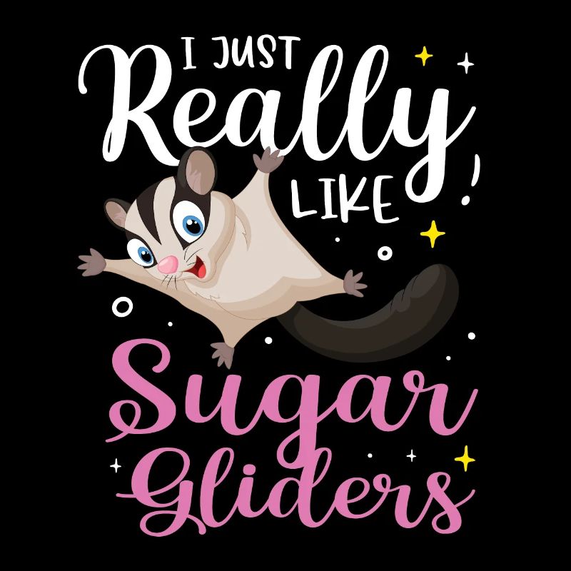 Sugar Glider Flying Squirrel