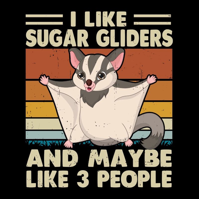 Sugar Glider Flying Squirrel