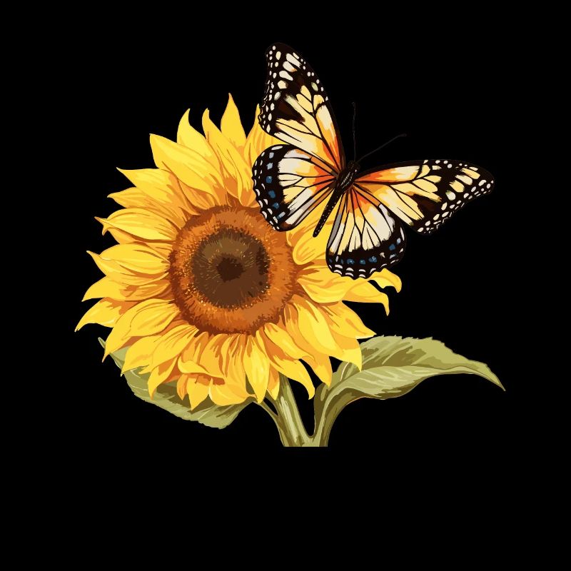 Girasole con farfalla
