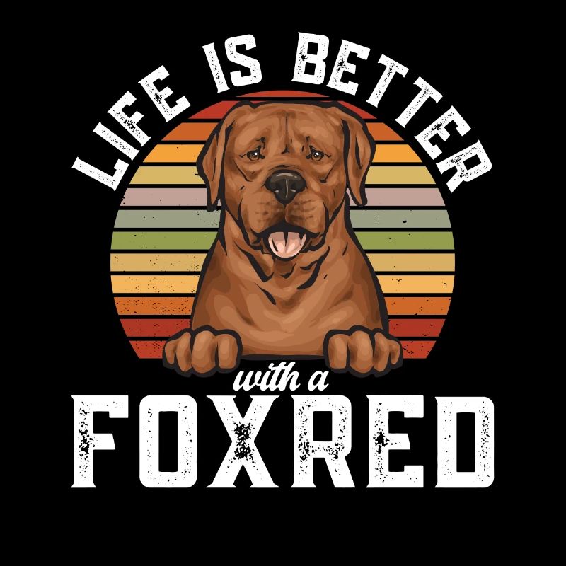 Fuchsroter Labrador Retriever Fox Red Labrador