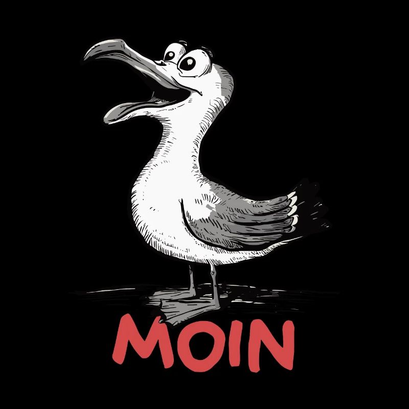 Moin Möwe