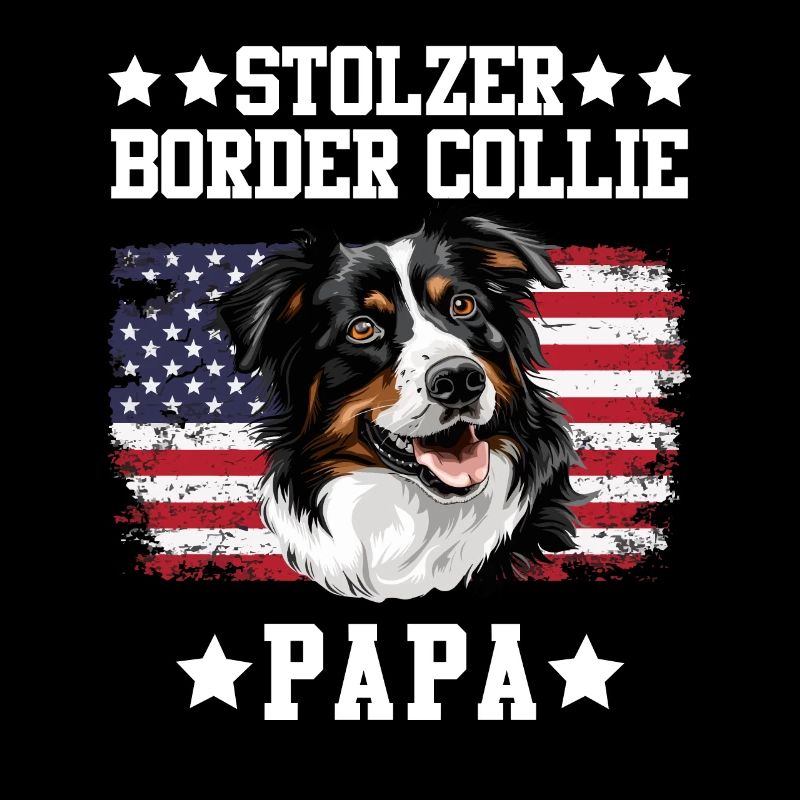 Border Collie STOLZER PAPA EINES BORDER COLLIES