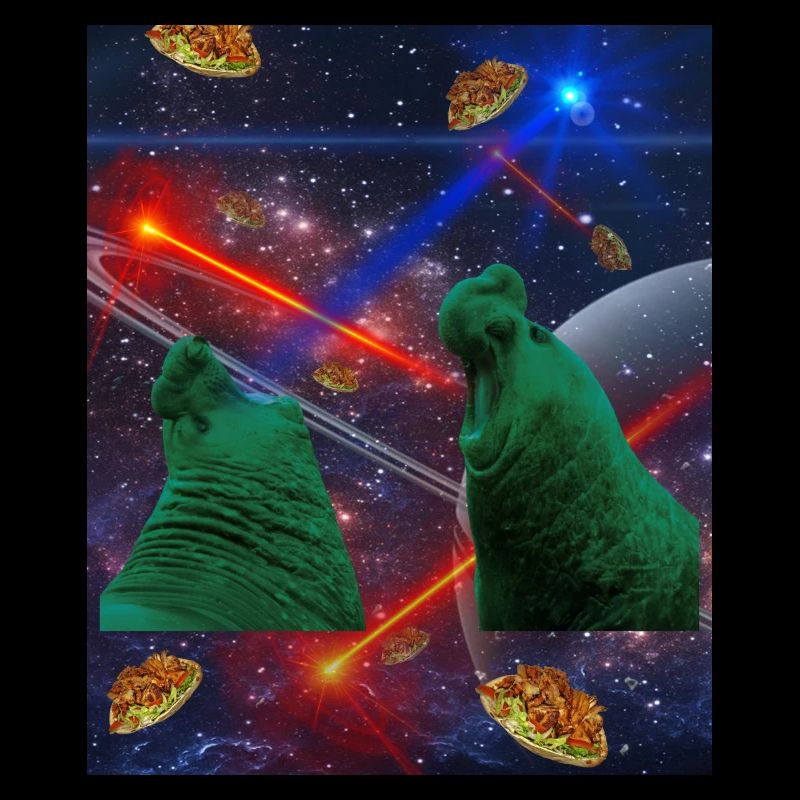 Crazy Walrus Laser 3D Crazy Galaxy Kebab