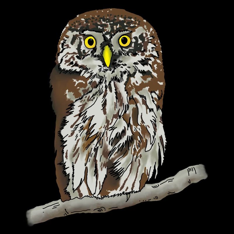 Sperlingskauz
